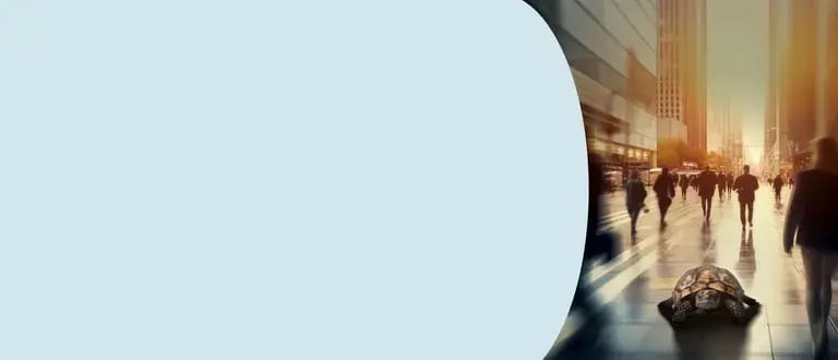 Webpage-Banner-7-768